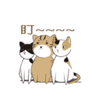 Three stray cats（個別スタンプ：4）