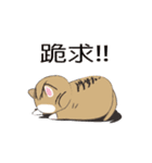 Three stray cats（個別スタンプ：29）