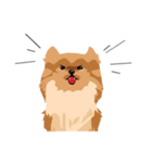 Fancy Furries（個別スタンプ：4）