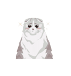 Fancy Furries（個別スタンプ：25）