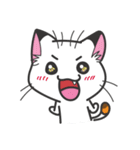 Calico cat don't talk（個別スタンプ：1）