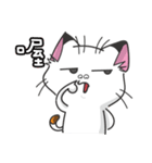 Calico cat don't talk（個別スタンプ：31）