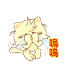 JOY CAT（個別スタンプ：25）