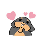 ぽちゃ犬まろ（個別スタンプ：1）