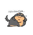 ぽちゃ犬まろ（個別スタンプ：4）