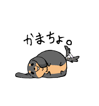 ぽちゃ犬まろ（個別スタンプ：6）