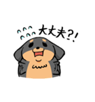 ぽちゃ犬まろ（個別スタンプ：9）