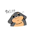 ぽちゃ犬まろ（個別スタンプ：10）