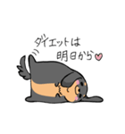 ぽちゃ犬まろ（個別スタンプ：13）
