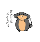 ぽちゃ犬まろ（個別スタンプ：18）