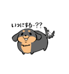 ぽちゃ犬まろ（個別スタンプ：21）