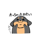 ぽちゃ犬まろ（個別スタンプ：22）
