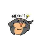 ぽちゃ犬まろ（個別スタンプ：25）