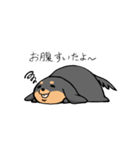 ぽちゃ犬まろ（個別スタンプ：28）