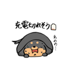 ぽちゃ犬まろ（個別スタンプ：31）