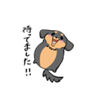 ぽちゃ犬まろ（個別スタンプ：33）