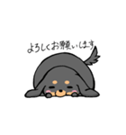 ぽちゃ犬まろ（個別スタンプ：34）
