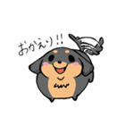 ぽちゃ犬まろ（個別スタンプ：37）