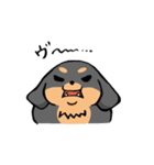 ぽちゃ犬まろ（個別スタンプ：38）