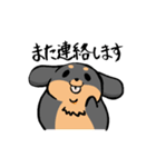 ぽちゃ犬まろ（個別スタンプ：39）