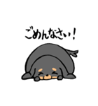 ぽちゃ犬まろ（個別スタンプ：40）