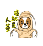 Chihuahua puppy（個別スタンプ：2）