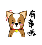 Chihuahua puppy（個別スタンプ：3）