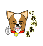 Chihuahua puppy（個別スタンプ：4）
