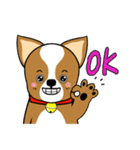 Chihuahua puppy（個別スタンプ：6）