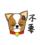 Chihuahua puppy（個別スタンプ：7）
