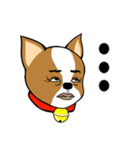 Chihuahua puppy（個別スタンプ：8）