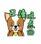 Chihuahua puppy（個別スタンプ：10）
