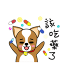 Chihuahua puppy（個別スタンプ：14）