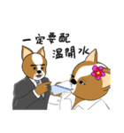 Chihuahua puppy（個別スタンプ：16）