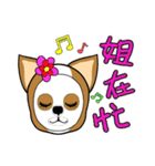 Chihuahua puppy（個別スタンプ：18）