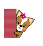 Chihuahua puppy（個別スタンプ：22）