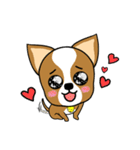 Chihuahua puppy（個別スタンプ：27）