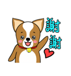 Chihuahua puppy（個別スタンプ：30）