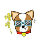 Chihuahua puppy（個別スタンプ：31）