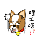 Chihuahua puppy（個別スタンプ：32）