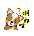Chihuahua puppy（個別スタンプ：33）