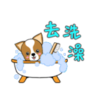 Chihuahua puppy（個別スタンプ：34）