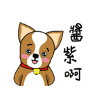 Chihuahua puppy（個別スタンプ：36）
