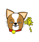Chihuahua puppy（個別スタンプ：37）