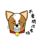 Chihuahua puppy（個別スタンプ：39）