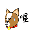 Chihuahua puppy（個別スタンプ：40）