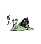 SOFARSOGOOD（個別スタンプ：38）