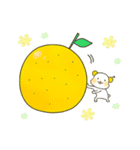 夏みかんボーイズっちゃ！（個別スタンプ：21）