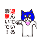 ゲスい毒舌なマスク猫（関西弁編）（個別スタンプ：25）