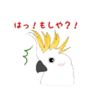 あつまれ！ トリさん（個別スタンプ：7）